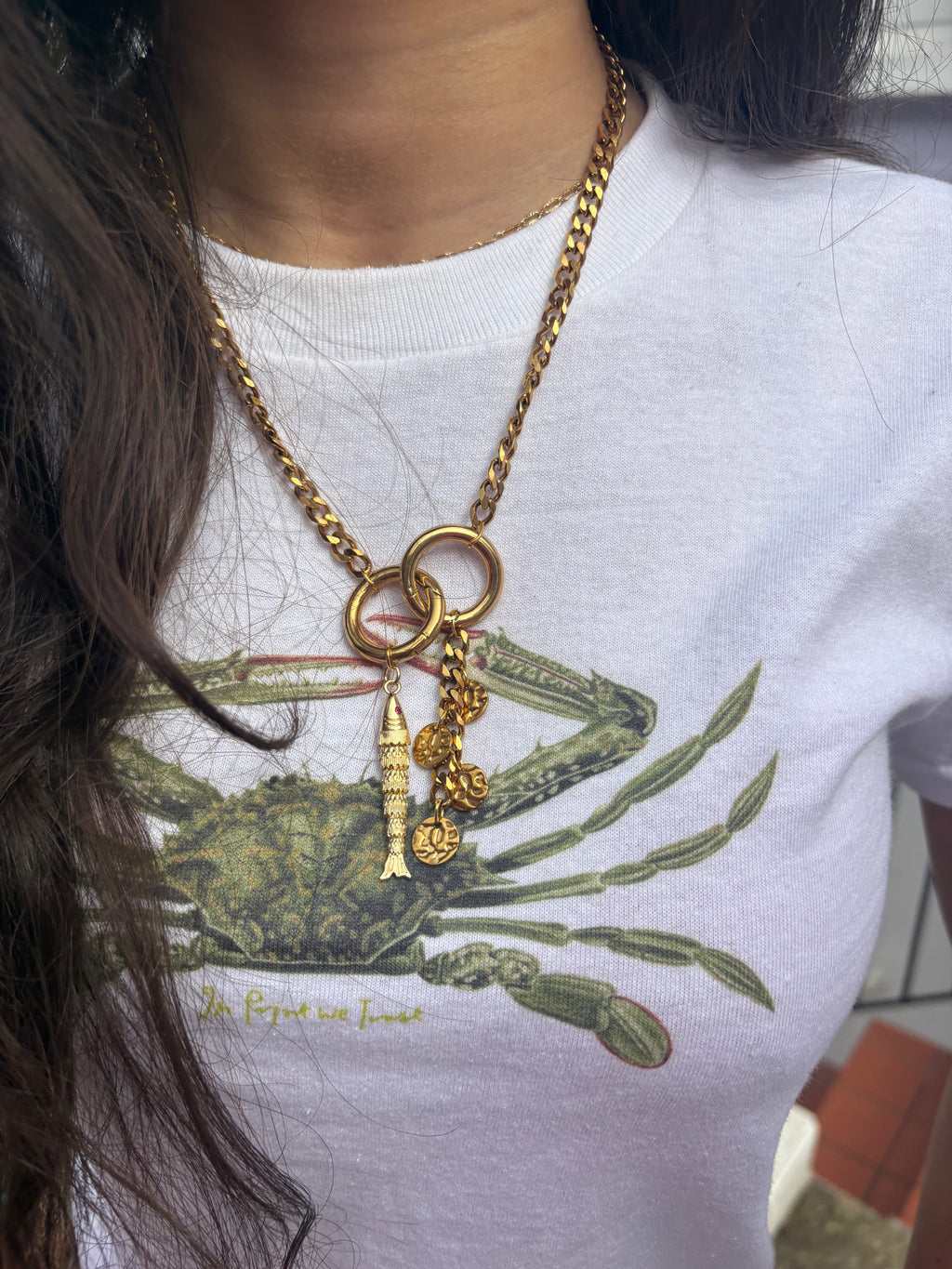 Fish Clasp Chain